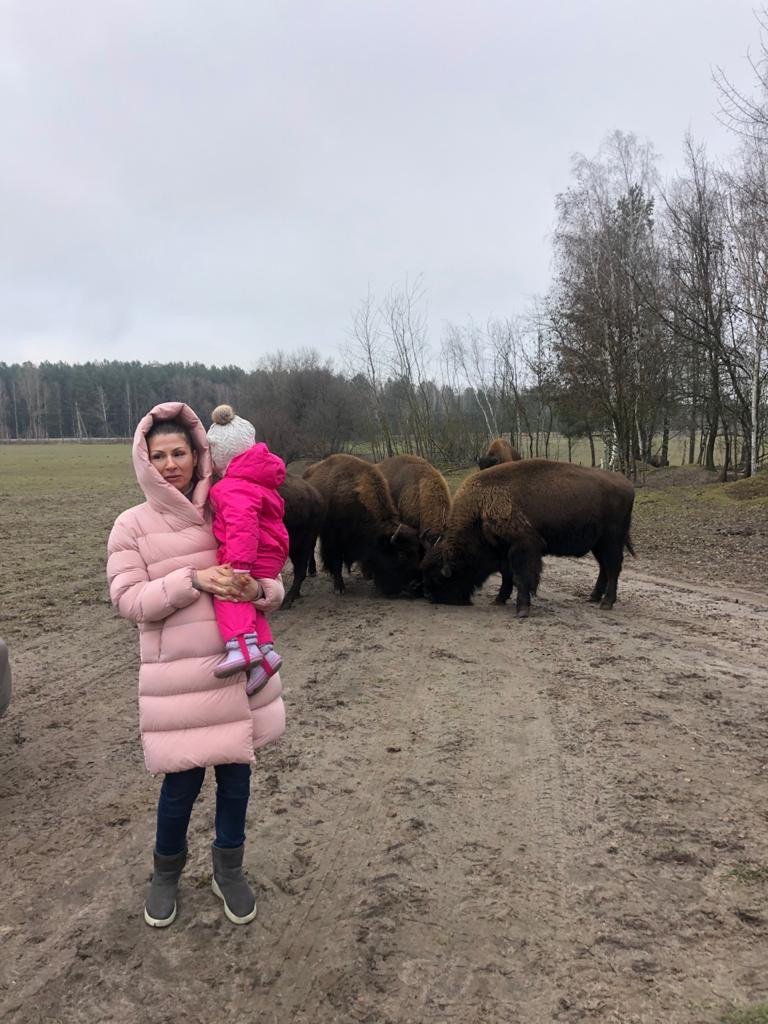 Под Киевом зубры напали на людей