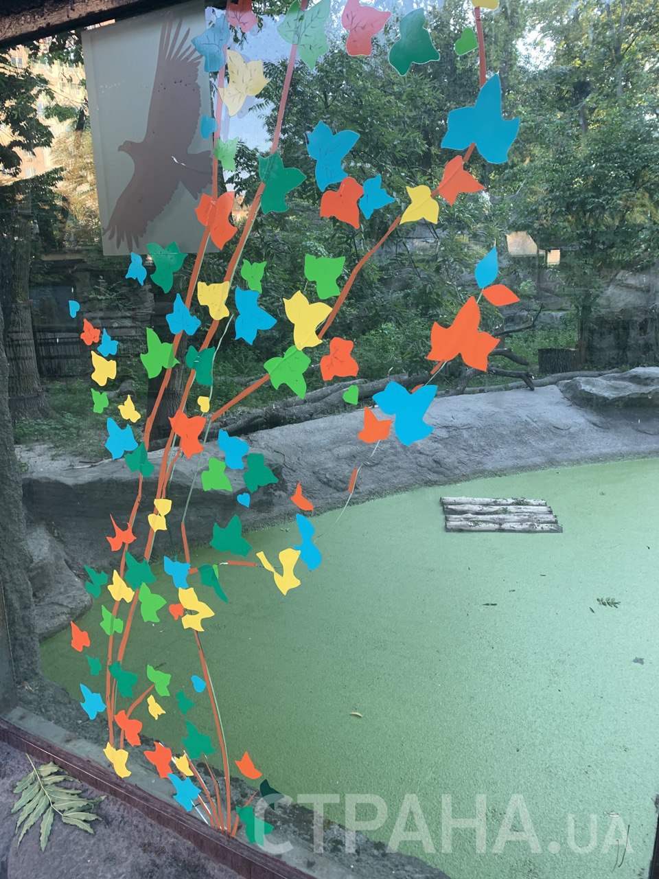 В Киевском зоопарке трещины на стекле вольера решили украсить оригами